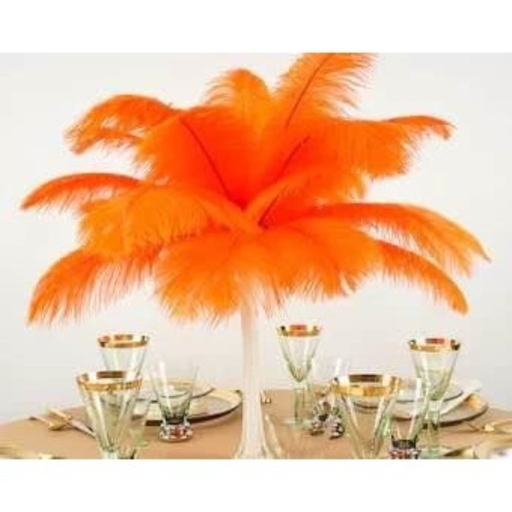 Set of 10 | Orange Feathers Size 12-14 inches for Wedding Party Decor